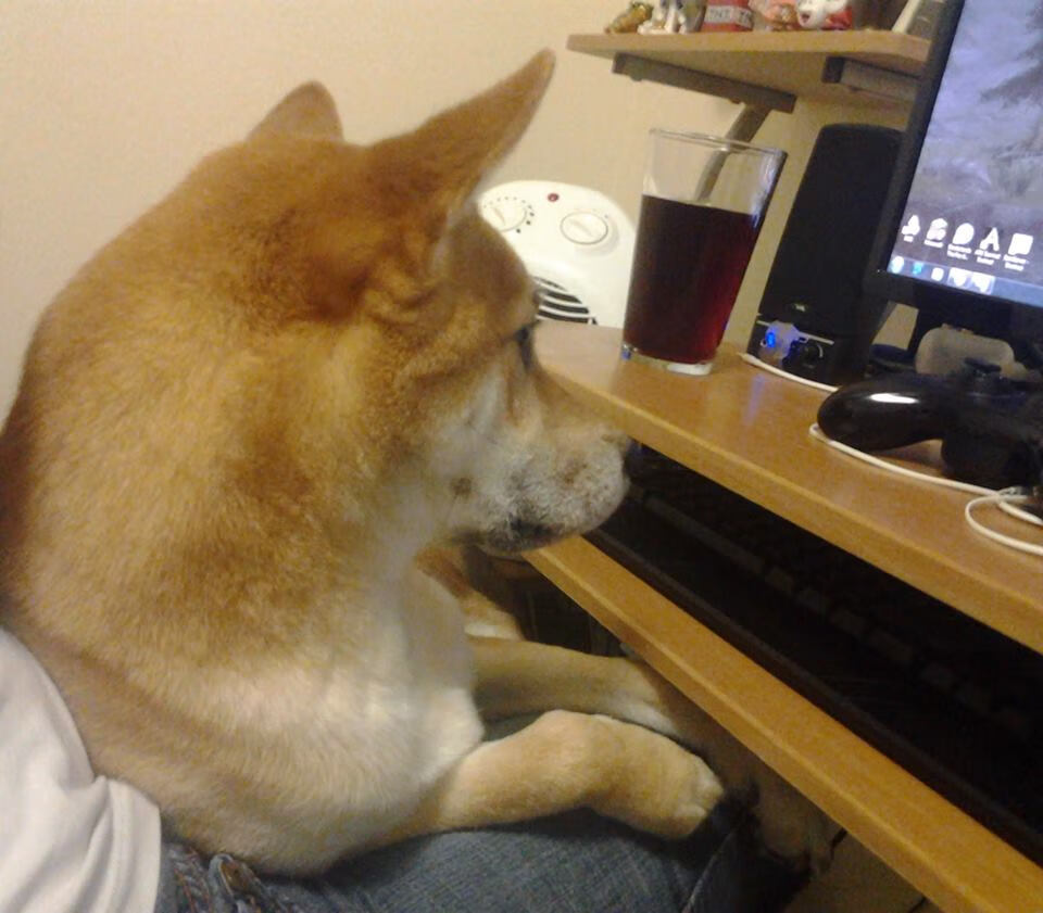 绿茵魔术师，当贝林厄姆在尼斯与沙特的友谊赛中起舞