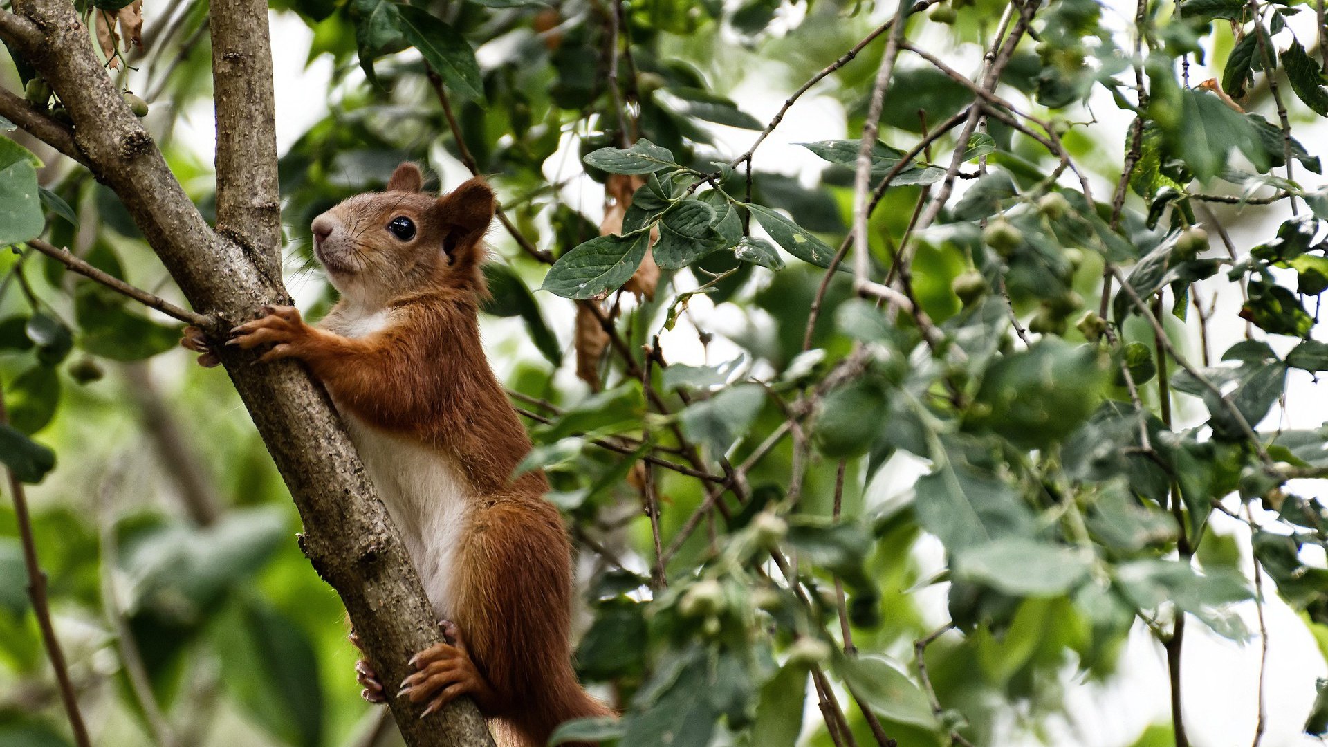 孙兴慜闪耀多哈，一传一射导演卡塔尔速胜南非
