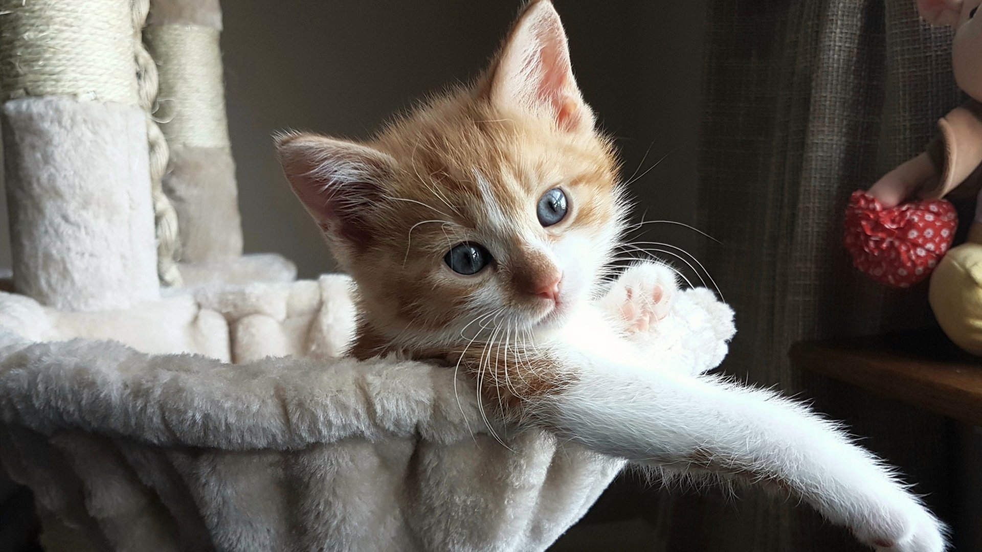 绿茵场上的布克，欧冠淘汰赛之夜的攻防交响