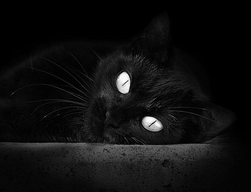 雷火电竞简介-全球体育狂热夜，NBA季后赛鏖战与挪威足球胜摩纳哥的激情交响