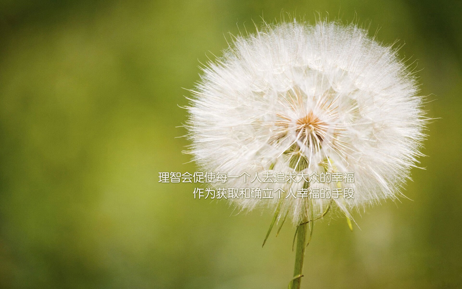 西班牙提前终结悬念？欧冠决赛夜戈麦斯与AC米兰的对决