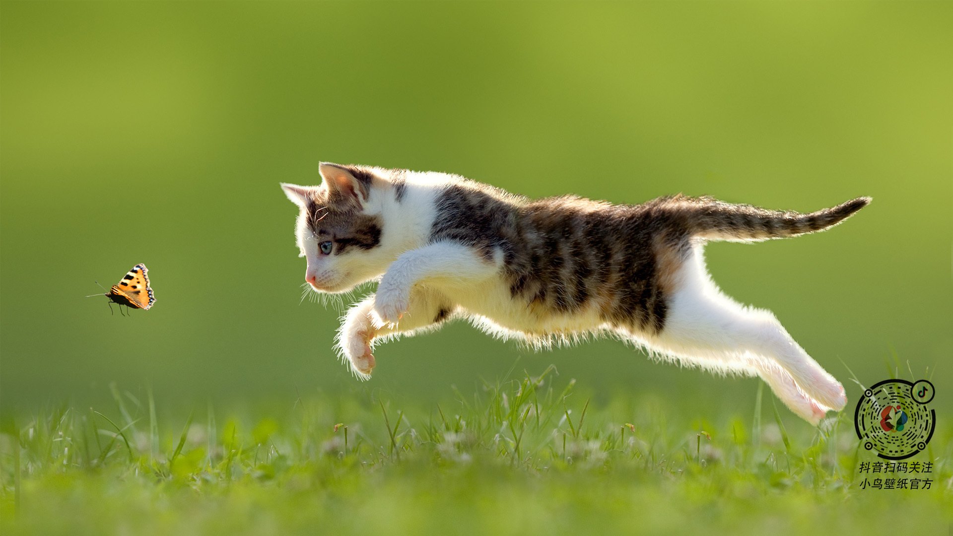 雷火电竞入驻-东方风暴席卷亚特兰大，新疆队创造历史淘汰老鹰晋级