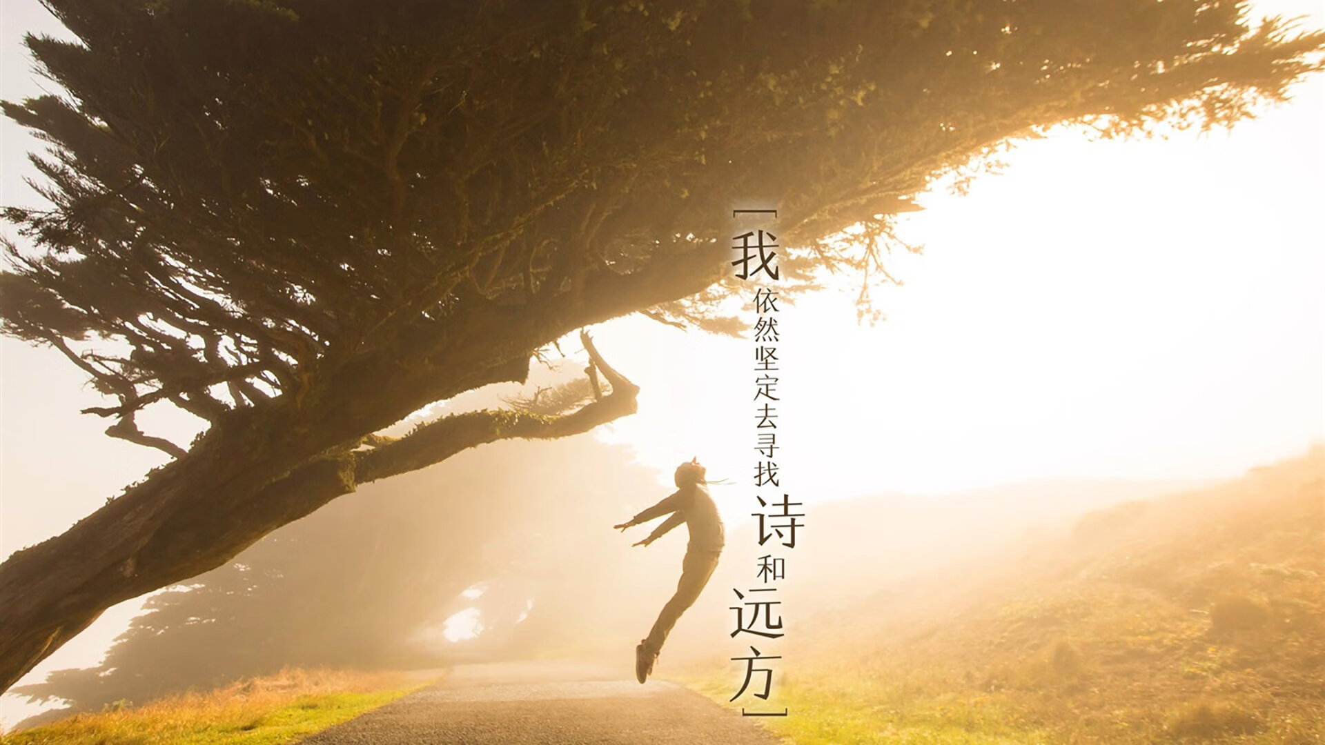 非常有意思。它不仅要求写一场比赛，更要求写出唯一性—在奥运周期的大背景下，一个足球运动员的表现如何超越胜负，成为一种独特的、无法复制的现象